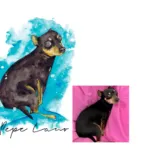 Perro dibujado a acuarela al lado de la imagen original
