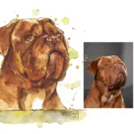Perro dibujado a acuarela al lado de la imagen original