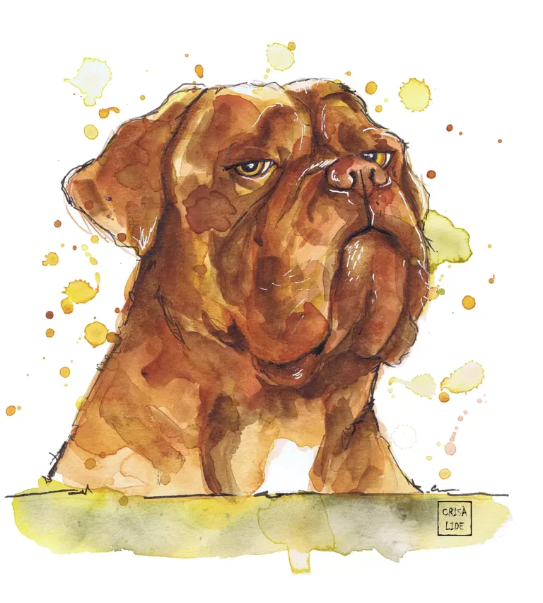 Ilustración de un perro realizada a acuarela